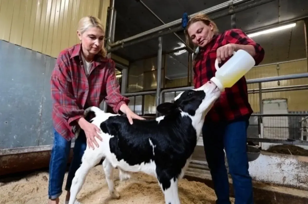 Денис Паслер и Анна Кузнецова запускают гранты «Агростартап» и «Агромотиватор»-0