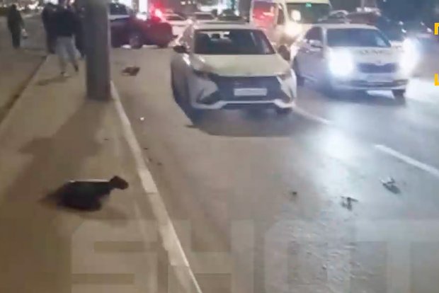 Вводная картинка