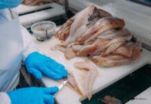 Доброфлот и КРДВ запускают новый завод под Находкой для развития Приморья dobroflot i krdv zapuskayut novyj zavod pod nahodkoj dlya razvitiya primorya-ekaterinburgu-ru-174653494600-0