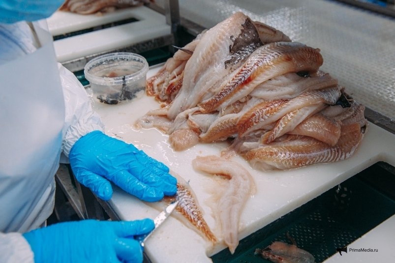 Переработка рыбы Мария Смитюк, ИА PrimaMedia