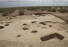 Гонур-депе и БМАК реализуют прорыв в изучении древней культуры с поддержкой РНФ gonurdepe i bmak realizuyut proryv v izuchenii drevnej kultury s podderzhkoj rnf-ekaterinburgu-ru-174739379000-0