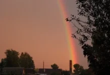 k konczu nedeli v sverdlovskoj oblasti prekratyatsya dozhdi i grozy-ekaterinburgu-ru-174756515500-0