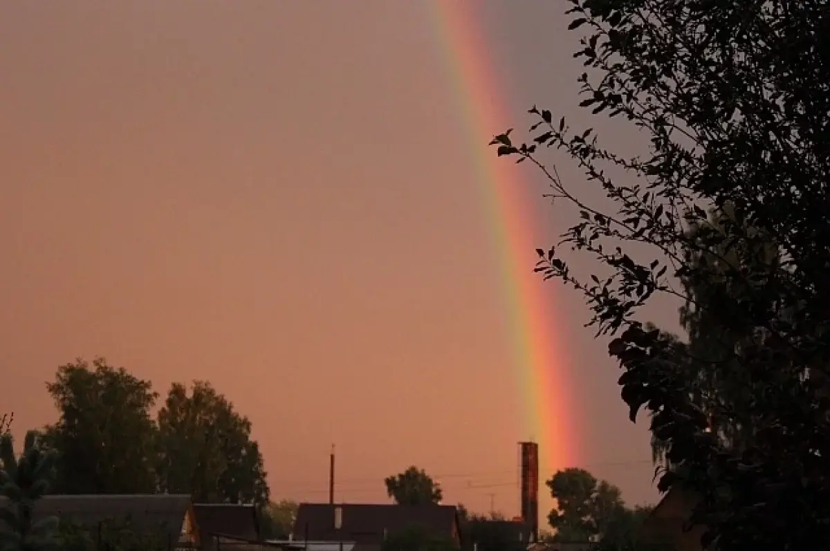 К концу недели в Свердловской области прекратятся дожди и грозы-0