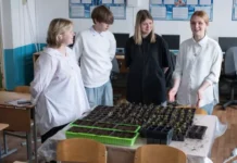 Качканар расцветает благодаря Аллее арок от ЕВРАЗ и Валериановской школы к юбилею Победы kachkanar rasczvetaet blagodarya allee arok ot evraz i valerianovskoj shkoly k yubileyu pobedy-ekaterinburgu-ru-174851167200-0