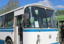 Кондуктор автобуса №81 маршрута КК94266 оказывает помощь маме и детям у Библиотеки имени Крапивина konduktor avtobusa 81 marshruta kk94266 okazyvaet pomoshh mame i detyam u biblioteki imeni krapivina-ekaterinburgu-ru-174825308900-0