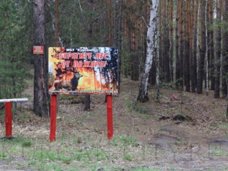 Запрет на посещение лесов Кургана продлен до 22 мая