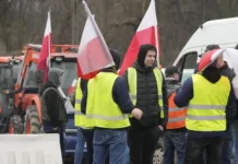 Лукаш Гвиздала и Ассоциация Польши предлагают новый подход к импорту огурцов из России lukash gvizdala i assocziacziya polshi predlagayut novyj podhod k importu ogurczov iz rossii-ekaterinburgu-ru-174824023900-0