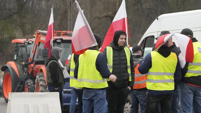Польские фермеры требуют запретить импорт огурцов из России