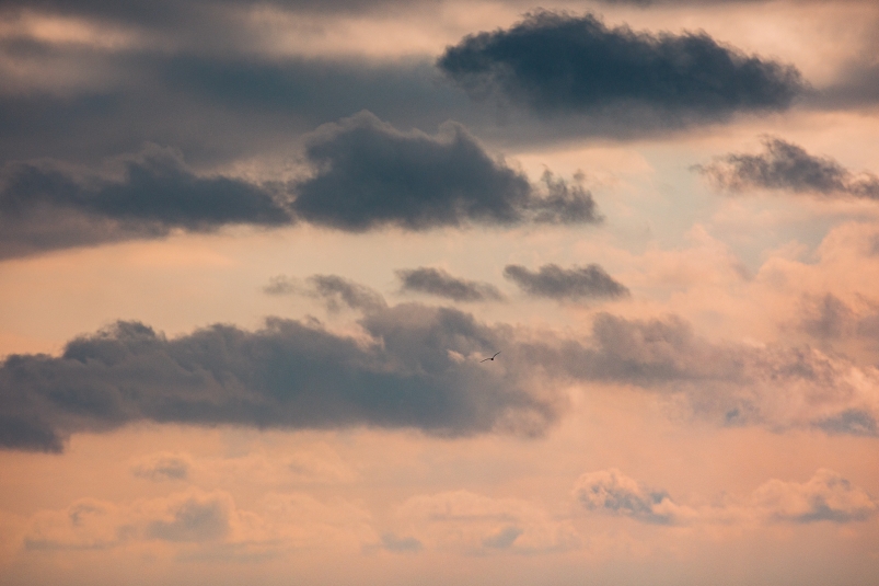 Фото: primamedia.ru