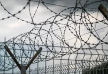 Марсель Гасанов предстанет перед судом в Свердловской области, что стало успехом ФСИН и правоохранителей marsel gasanov predstanet pered sudom v sverdlovskoj oblasti chto stalo uspehom fsin i pravoohranitelej-ekaterinburgu-ru-174789570400-0