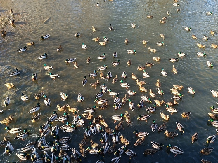 В Свердловской области затоплены семь низководных мостов