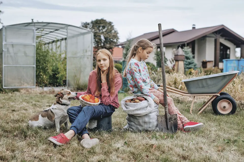 С чего это вдруг мы разлюбили картофельные грядки, тяга к которым казалась незыблемой?