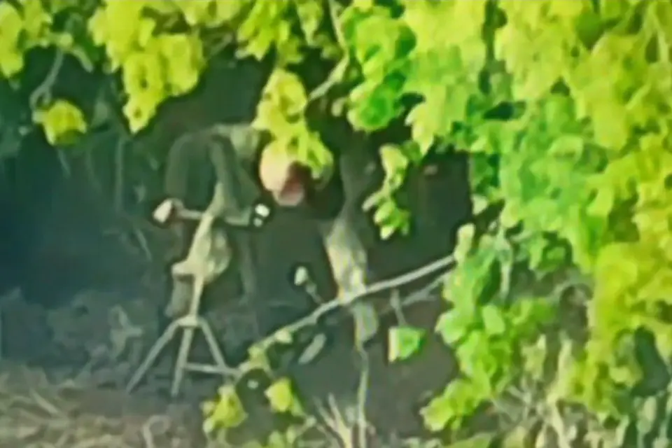 Фото: скриншот