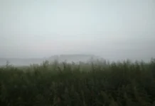 na srednem urale ozhidayutsya nochnye zamorozki i dozhdi po prognozu mchs-ekaterinburgu-ru-174818087500-0