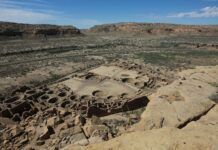 Научное подтверждение генетической связи Пикурис Пуэбло с Чако nauchnoe podtverzhdenie geneticheskoj svyazi pikuris pueblo s chako-ekaterinburgu-ru-174619559800-0