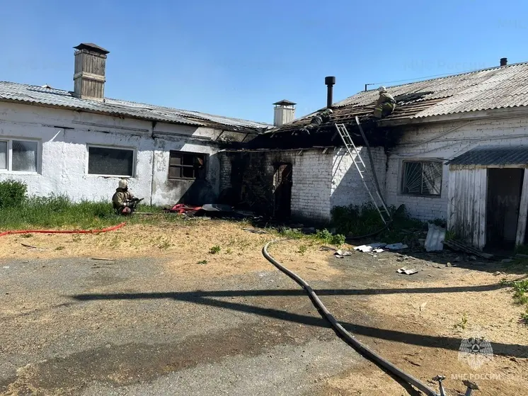 В свердловском селе Петрокаменском горела животноводческая ферма