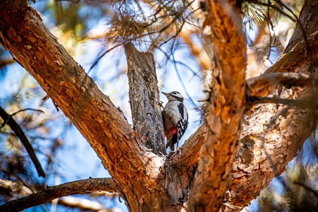 Провести майские на природе — хороший способ отдохнуть от городской суеты | Источник: Олег Фёдоров / CHITA.RU