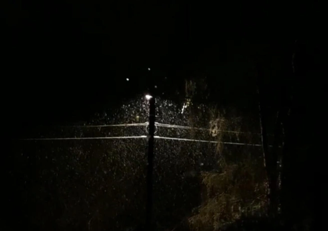 В Москве выпал снег в мае | Источник: Читатель MSK1.RU