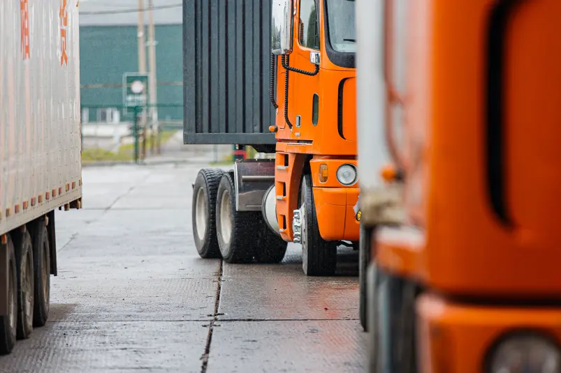 Фото: primamedia.ru