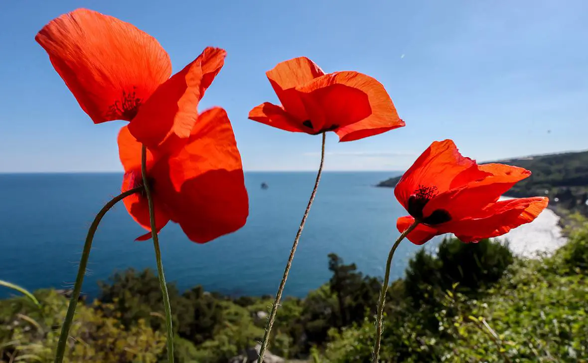 Крым (Сергей Мальгавко / ТАСС)