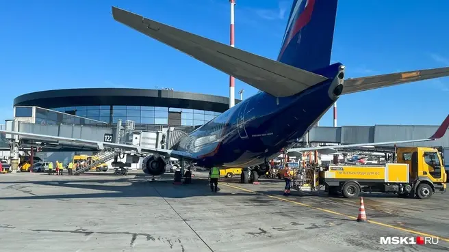 За шесть дней аэропорты Москвы закрывались 51 раз | Источник: Виктория Чулюкина / MSK1.RU