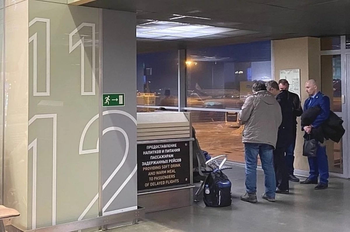 Росгосстрах и Надежда Минина принимают экстренные меры для пассажиров Внуково и Домодедово-0