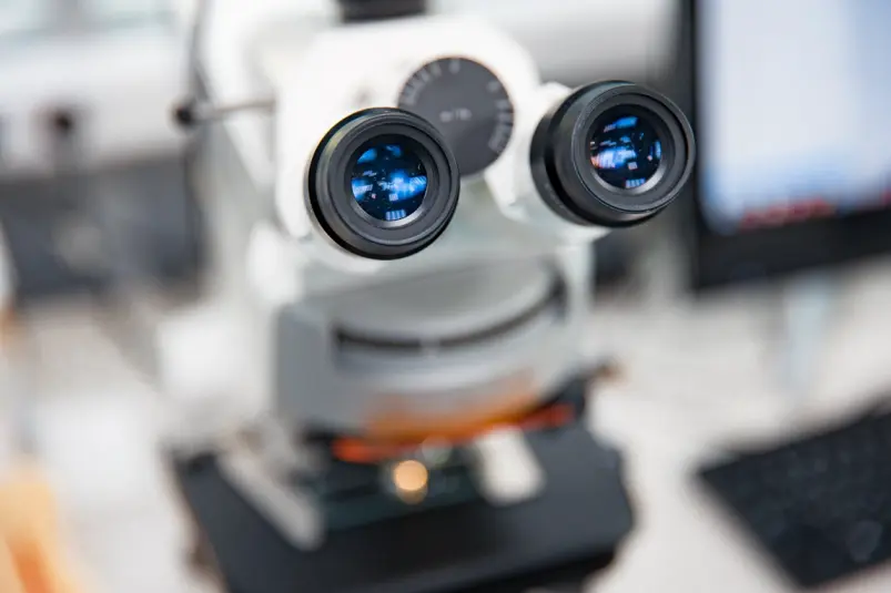 Лаборатория Илья Аверьянов, ИА PrimaMedia