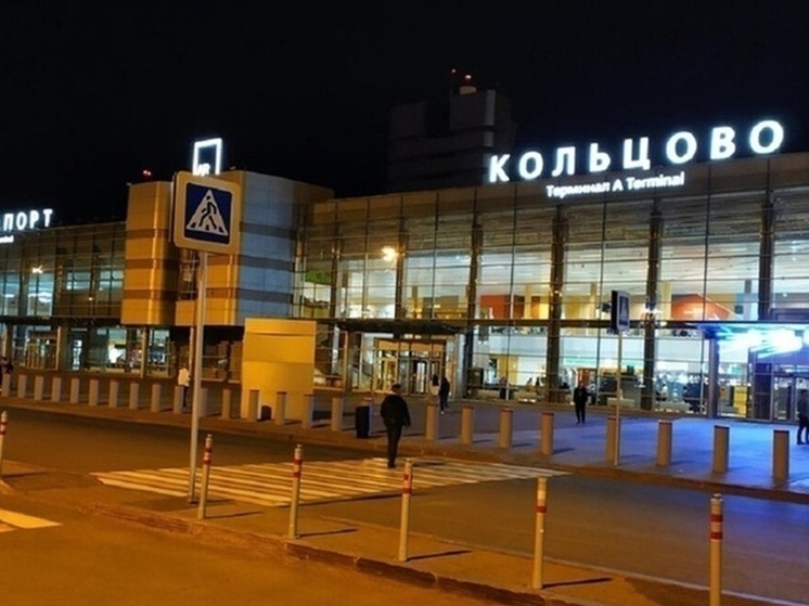 Роспотребнадзор расследует случаи кишечной инфекции в «Кольцово»