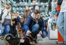 sergej sobyanin o podderzhke nko fondov i blagotvoritelnyh inicziativ v moskve-ekaterinburgu-ru-174738237300-0