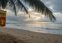 Шри-Ланка и Реюньон принимают меры против лихорадки чикунгунья shrilanka i reyunon prinimayut mery protiv lihoradki chikungunya-ekaterinburgu-ru-174833330900-0