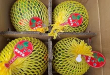 sochnye arbuzy iz kitaya i blizhnego vostoka pribyli na ural cherez tamozhennoe upravlenie-ekaterinburgu-ru-174705850400-0