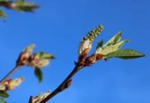 Свердловская область ожидает потепления и солнечные дни от Уралгидрометцентра sverdlovskaya oblast ozhidaet potepleniya i solnechnye dni ot uralgidrometczentra-ekaterinburgu-ru-174612207200-0