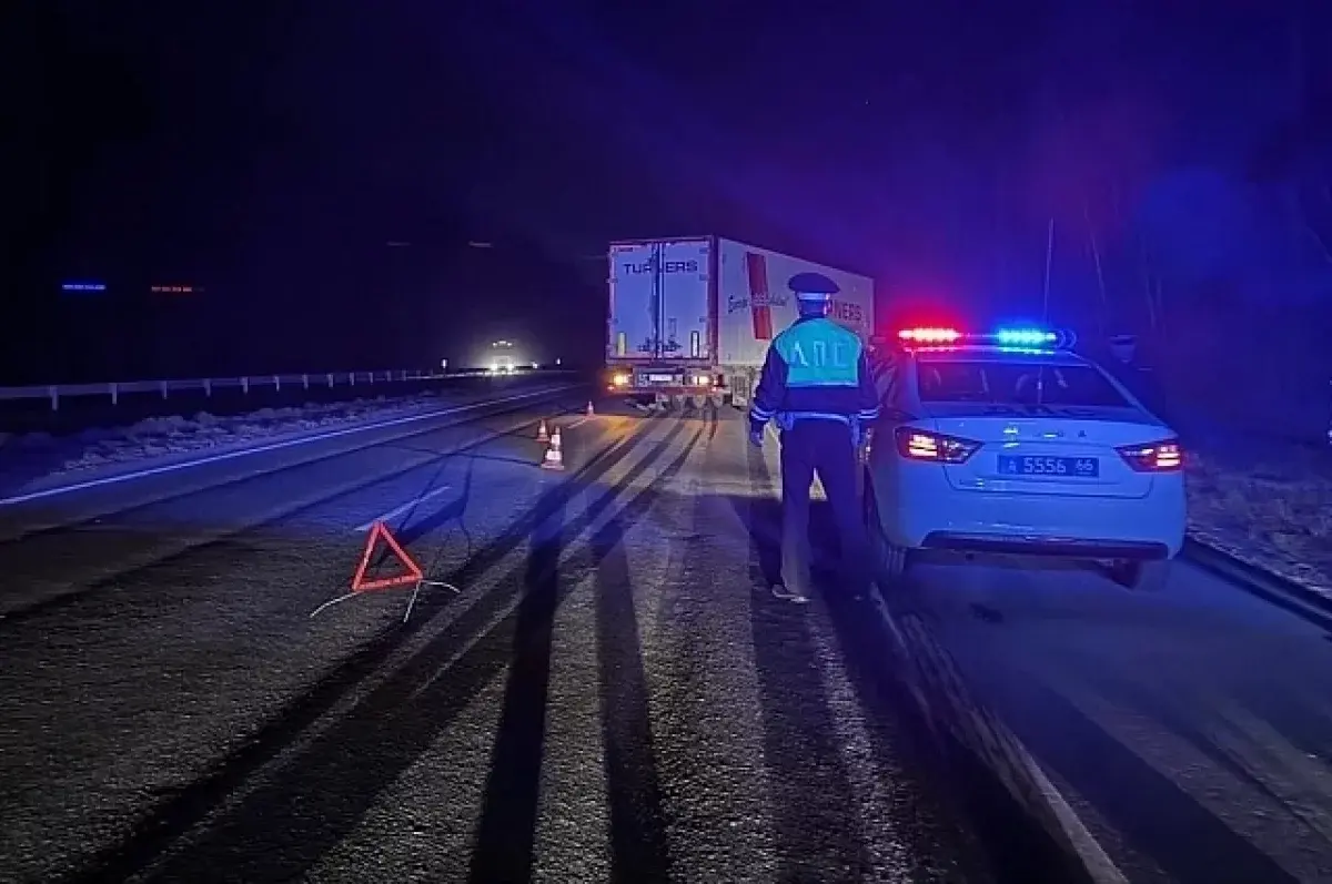 Уроки ГИБДД подчеркивают значимость безопасности дорог в Сысертском районе-0