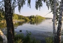 Условия преобразования Малоистокского водохранилища в Екатеринбурге usloviya preobrazovaniya maloistokskogo vodohranilishha v ekaterinburge-ekaterinburgu-ru-174731025000-0