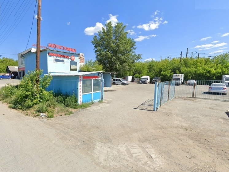 Около шиномонтажки в Екатеринбурге собираются стаи бродячих собак