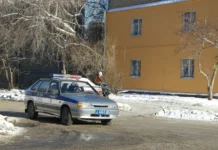 В Каменске-Уральском ГУ МВД России по Свердловской области обеспечивает безопасность дорожного движения v kamenskeuralskom gu mvd rossii po sverdlovskoj oblasti obespechivaet bezopasnost dorozhnogo dvizheniya-ekaterinburgu-ru-174698254700-0