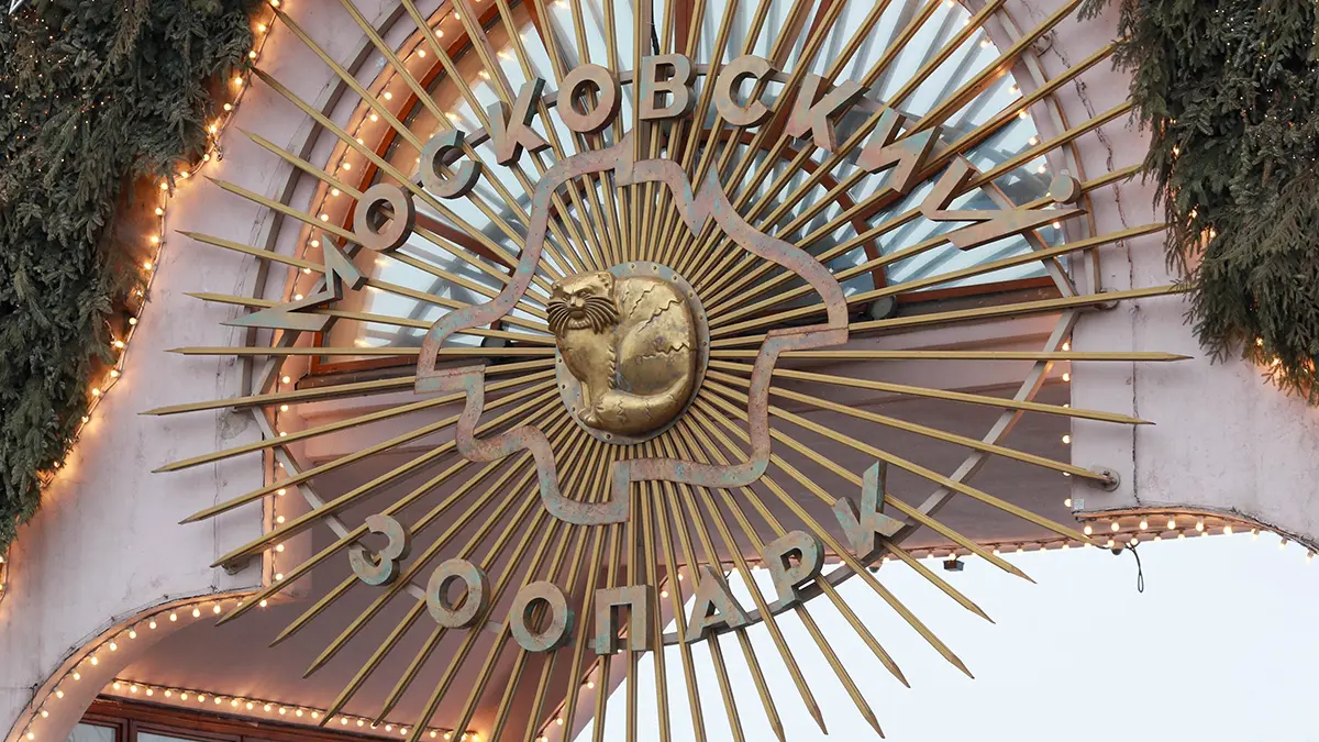 Стало известно, кто пытался отравить животных в Московском зоопарке