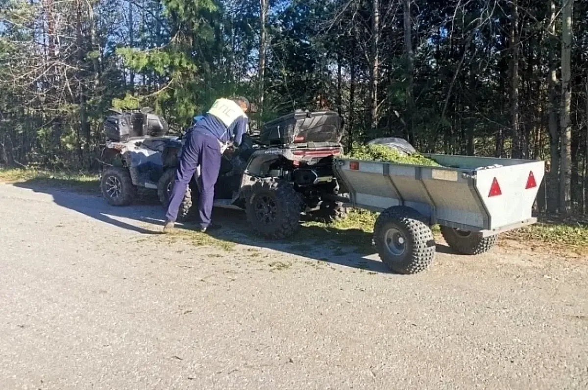 В Старопышминске произошла авария с участием Stels «Гепард» и CFMOTO CFORCE 800-0