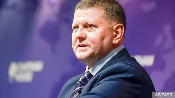 Залужный призвал украинцев не надеяться на чудо и белого лебедя