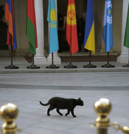 Гармонизация ГЧП способствует процветанию ЕАЭС и его партнёров в ЕАБР-0