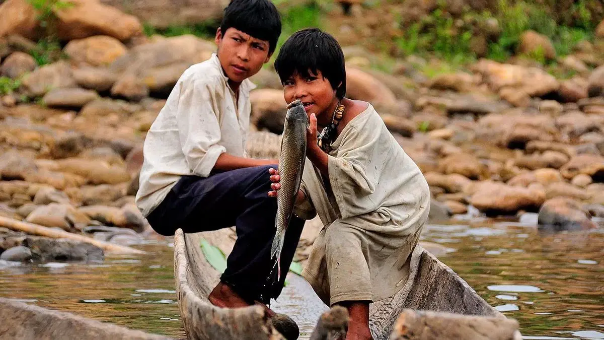 Как Nature Aging раскрывает влияние цивилизации на воспаление и старение-0