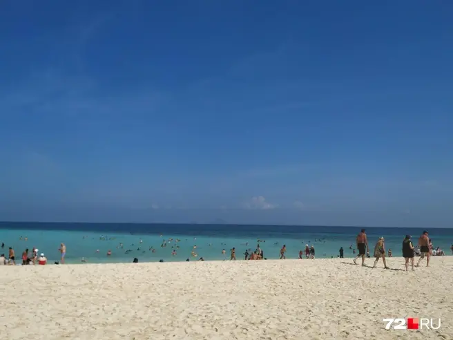 Чаще всего эту болезнь можно встретить в Юго-Восточной Азии и тропической зоне | Источник: Анна Яровая / 72.RU