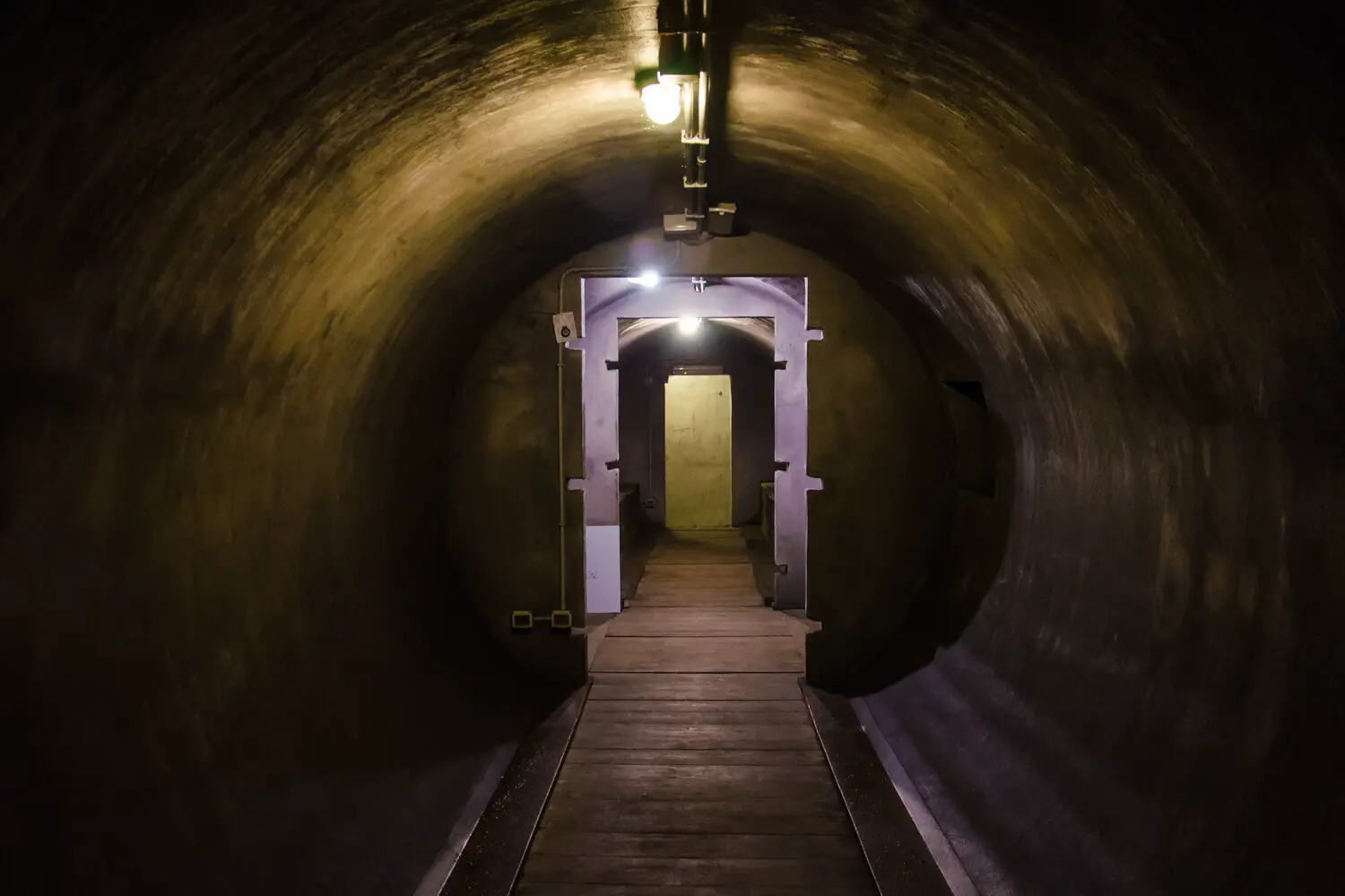 Ральф Тислер и Фридрих Мерц объединяют Германию ради защиты населения-0