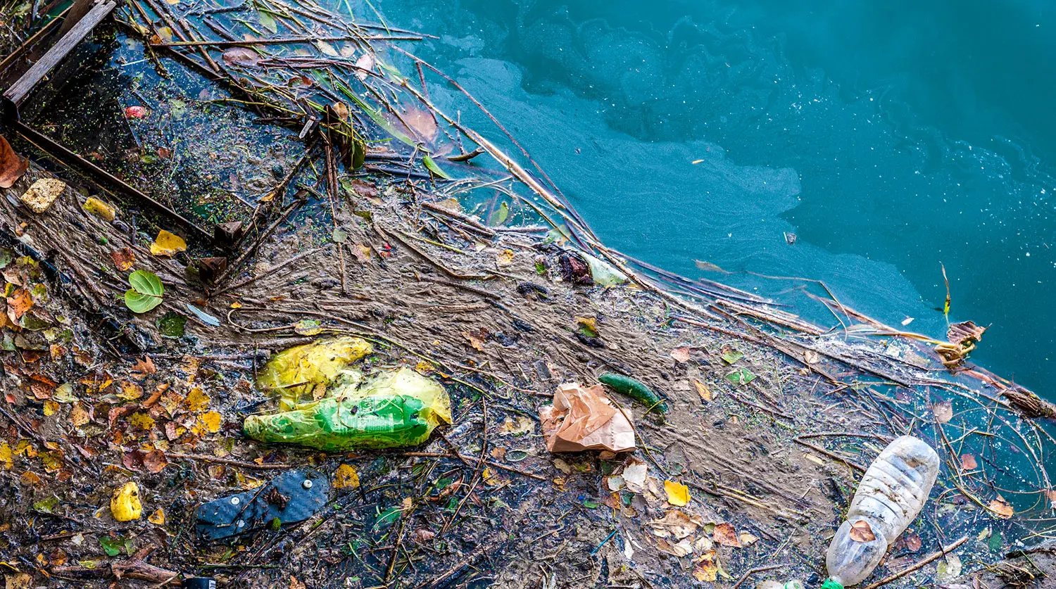 Сатеш Ганатрой и команда раскрыли неожиданный риск для сердца у морских берегов-0