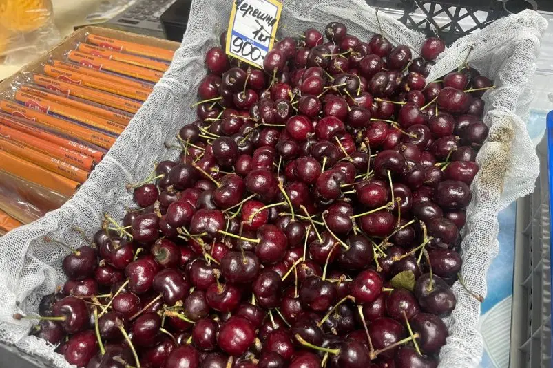 Сколько стоит черешня во Владивостоке ИА PrimaMedia