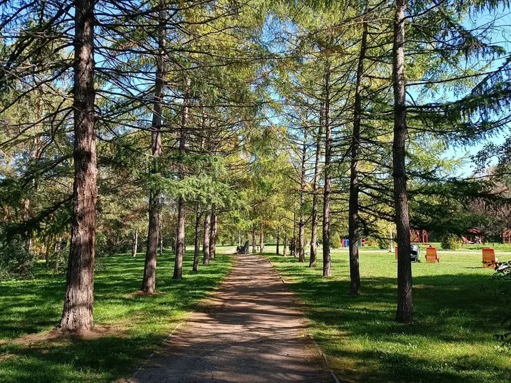 Упавшая с вышки в Екатеринбурге девушка рассказал о своем здоровье