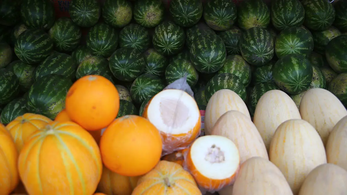 Цены на арбузы и дыни летом 2025