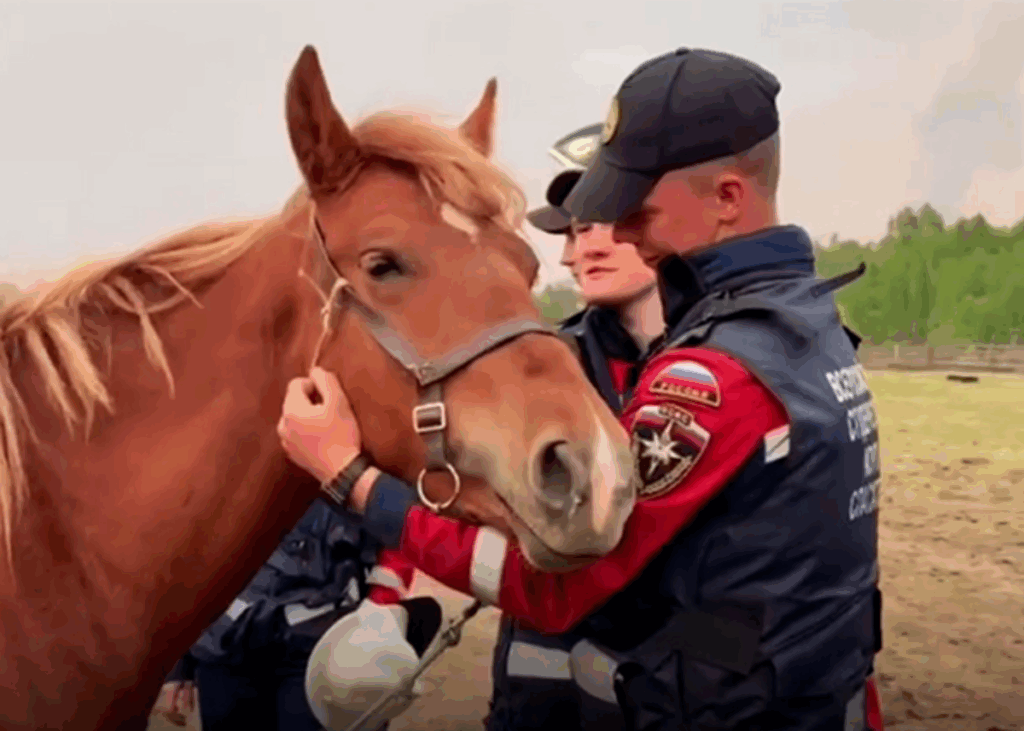 Алексей Вихарев о подвиге добровольцев