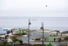 Константин Шестаков и Феликс Машков рассказывают о преображении набережной Спортивной гавани Владивостока konstantin shestakov i feliks mashkov rasskazyvayut o preobrazhenii naberezhnoj sportivnoj gavani vladivostoka-ekaterinburgu-ru-0