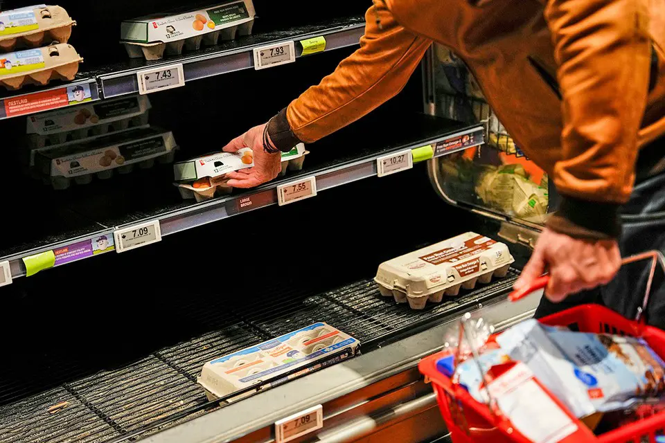 Цена на яйца взлетела, а преступники занялись … массовой кражей яиц.